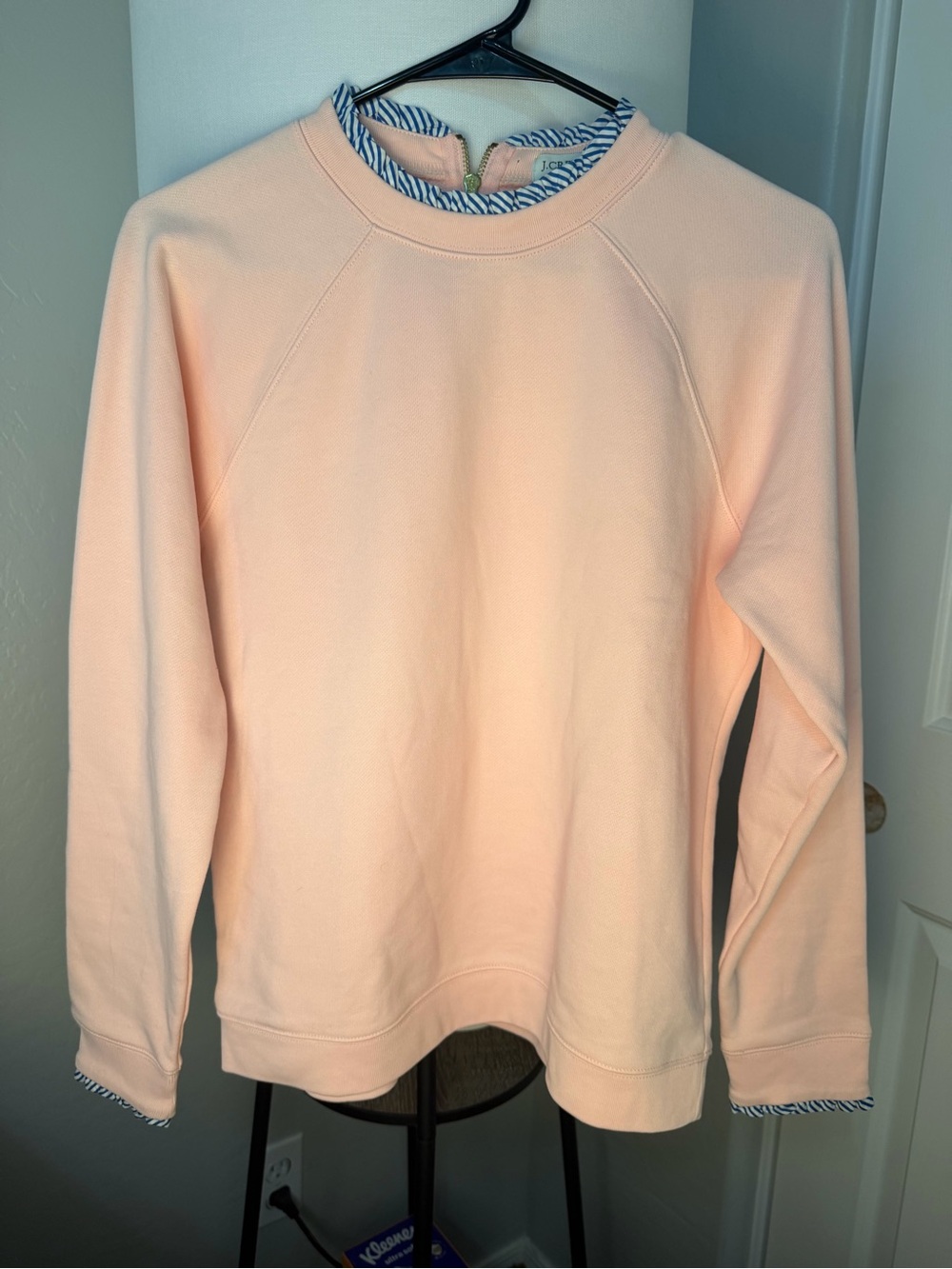 J. Crew Pale Pink Crewneck Sweatshirt
